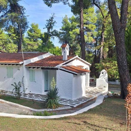 Villa Nefeli Сани-Бич Экстерьер фото