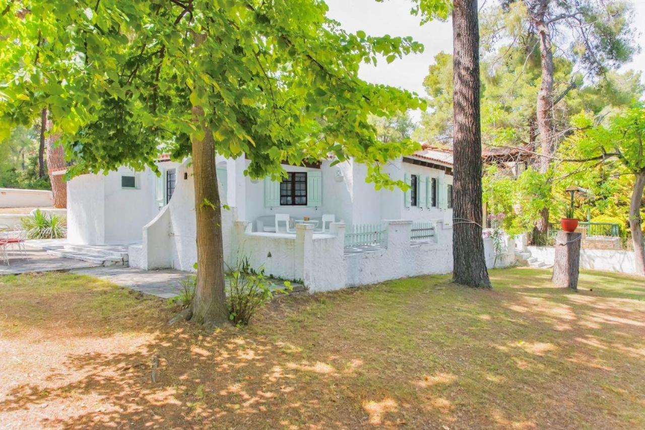 Villa Nefeli Сани-Бич Экстерьер фото